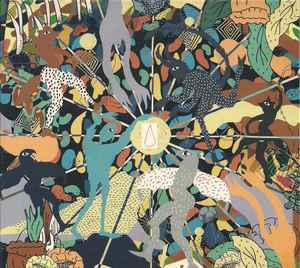 DiscWizard Release