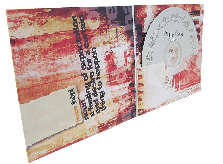 duplicated CD in slot cut 4 panel wallet