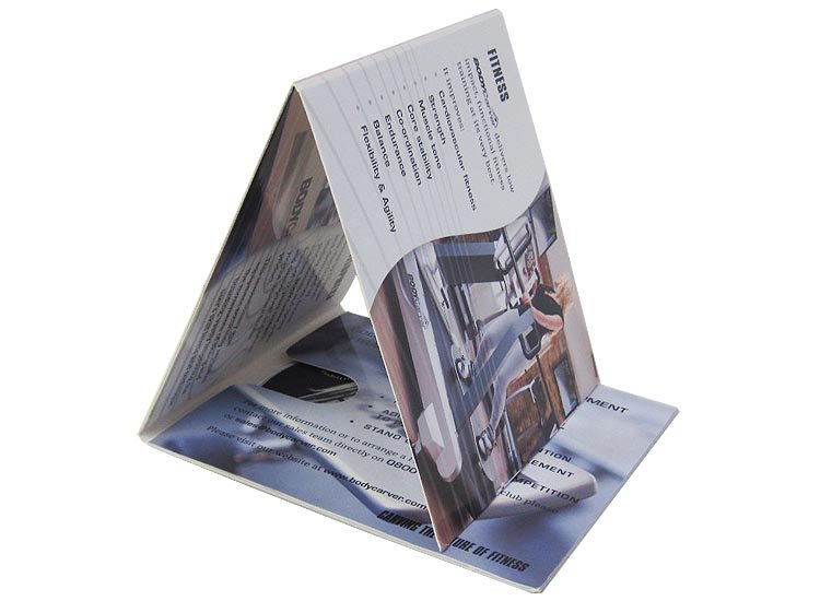 DVD in 6 panel printed card wallet & digifiles